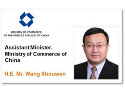 Wang Shouwen