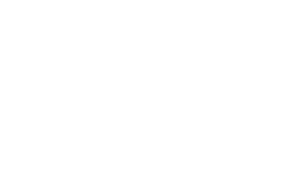 UN Trade and Development logo