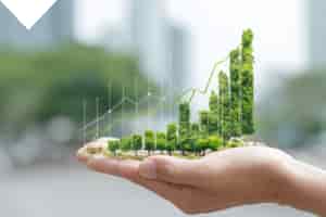 Future of Impact Investment
