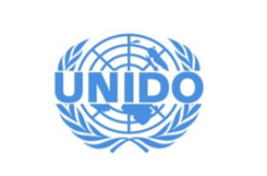  United Nations Industrial Development Organization (UNIDO)