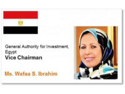 Ms. Wafaa S. Ibrahim