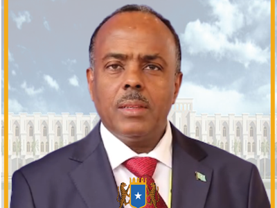 H.E. Mr. Ali Mohamed Omar