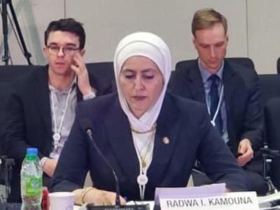 Ms. Radwa I. Kamouna